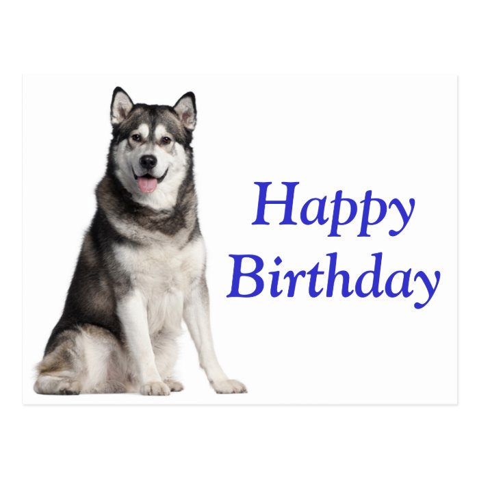 Happy Birthday Alaskan Malamute Puppy Dog  Card Postcards