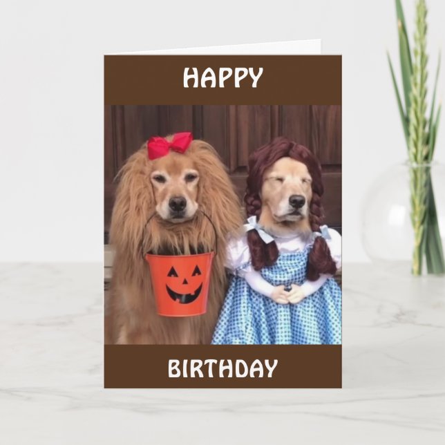 **HAPPY BIRTHDAY** ALL DRESSED UP FOR "YOU" CARD (Front)