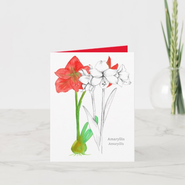 Happy Birthday Amaryllis Language of Flowers Card (Front)