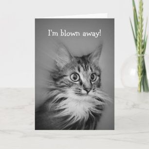 Happy Birthday Amazed Cat With Neck Ruff Card