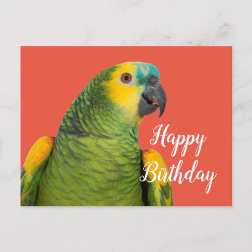 Happy Birthday Amazon Parrot Red Postcard