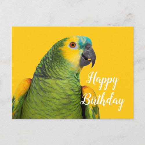 Happy Birthday Amazon Parrot Yellow Postcard