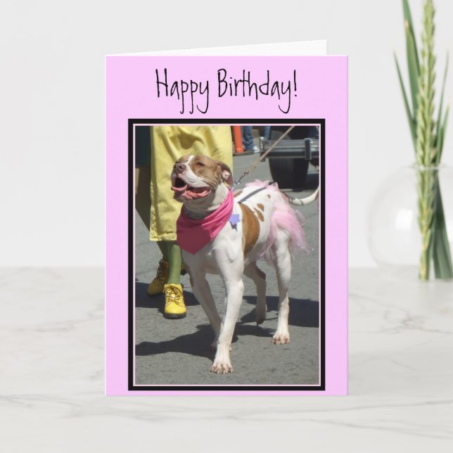 Happy Birthday American Bulldog greeting card (Front)