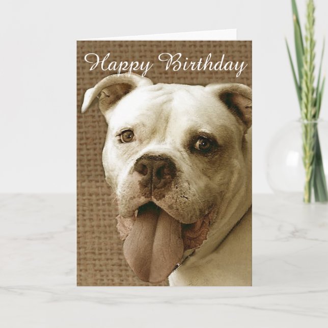 Happy Birthday American bulldog greeting card (Front)