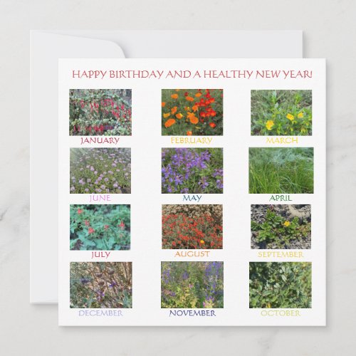 HAPPY BIRTHDAY AND A HEALTHY NEW YEAR Note Card