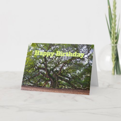 Happy Birthday Angel Oak South Carolina Card