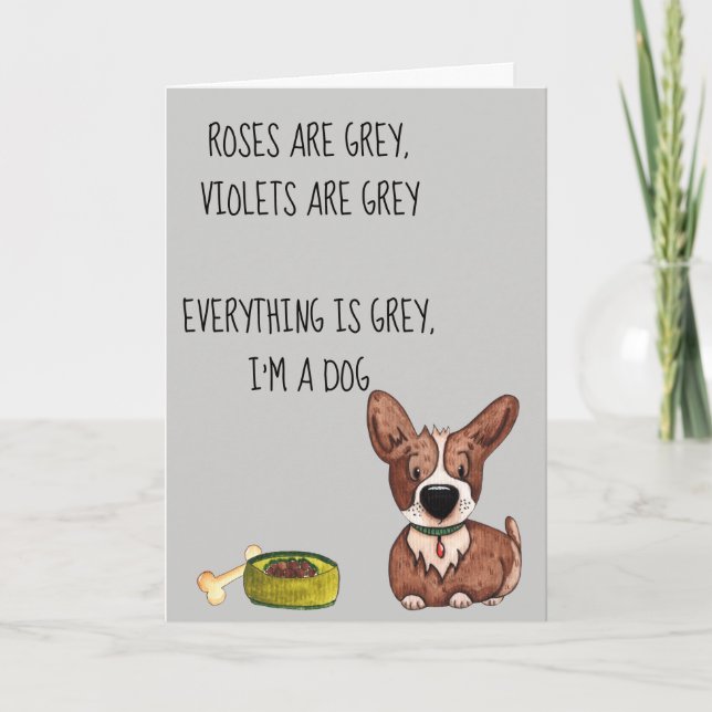 Happy Birthday Anniversary  from the Dog Humor Card (Front)