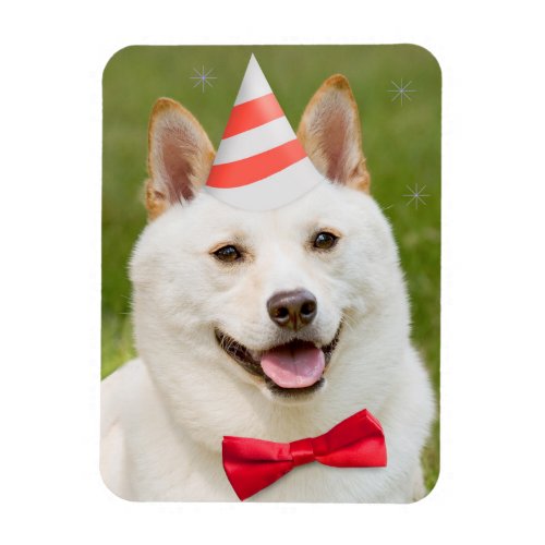 Happy Birthday Anyone Shiba Inu Dog In Party Hat Magnet