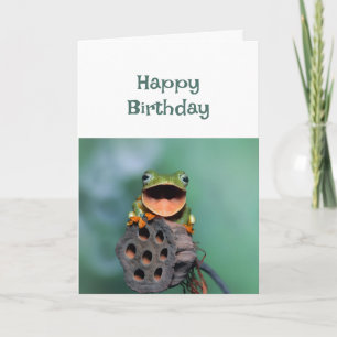 Happy Birthday Awesome Person You Are Fun Frog Card