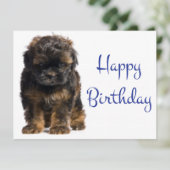 Happy Birthday Baby Havanese Puppy Dog Postcard | Zazzle