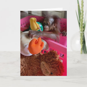 Happy Birthday Baby Orangutan Grabs Toys Card