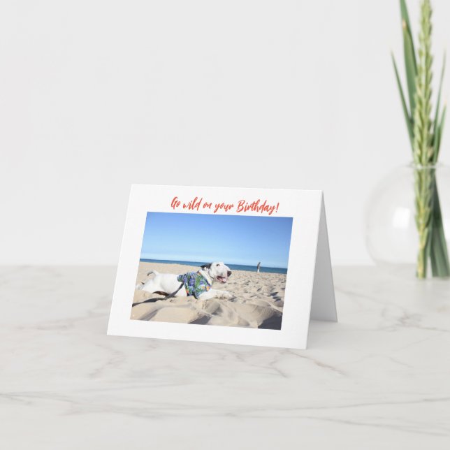 Happy Birthday! Beach Bull Terrier Hawaii Card (Front)