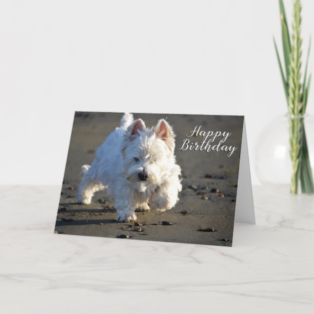 Happy Birthday Beachcombing Westie Photo Card (Front)