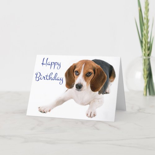 Happy Birthday Beagle Puppy Dog Greeting Card