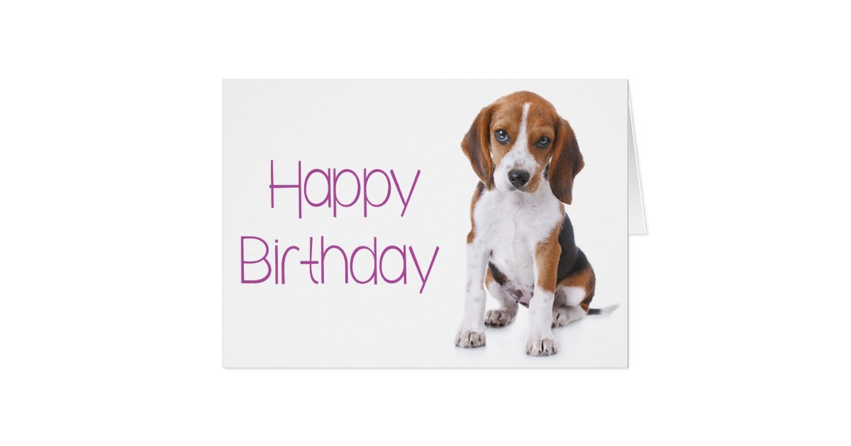 Puppy Dog Birthday Wishes Puppy Dog Birthday Wishes