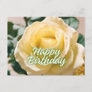 Happy Birthday Beautiful Light Yellow Rose Postcard