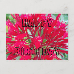 Happy Birthday Beautiful Red flowers Postcard