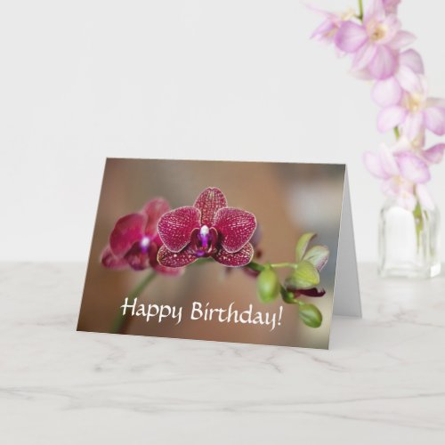 Happy Birthday Beautiful Red Orchid Card