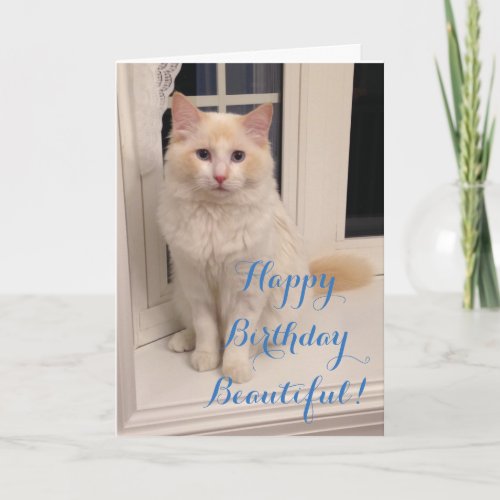 Happy Birthday Beautiful _ Red Point Ragdoll Cat Card