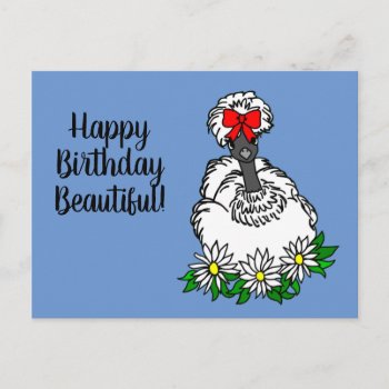 Happy Birthday Beautiful Showgirl Silkie Chicken P Postcard by PugWiggles at Zazzle