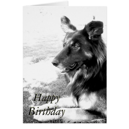 Happy Birthday Belgian Shepherd Dog Card | Zazzle