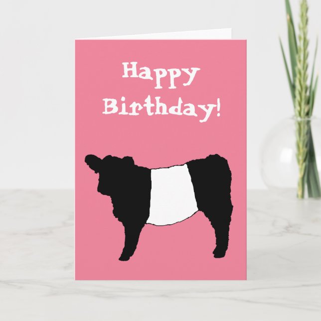 Happy Birthday Beltie Belted Galloway Steer Cattle Card (Front)