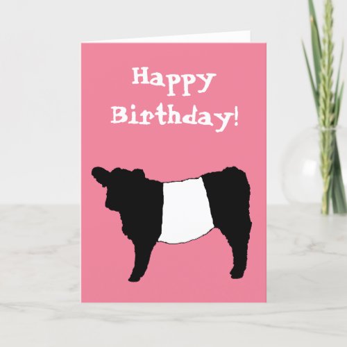 Happy Birthday Beltie Belted Galloway Steer Cattle Card