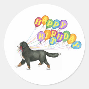 Happy Birthday Bernese Mountain Dog Classic Round Sticker
