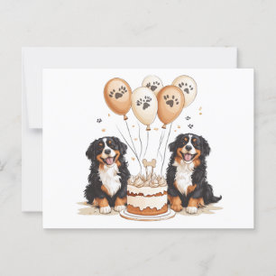 Happy Birthday Bernese Mountain Dogs Postcard
