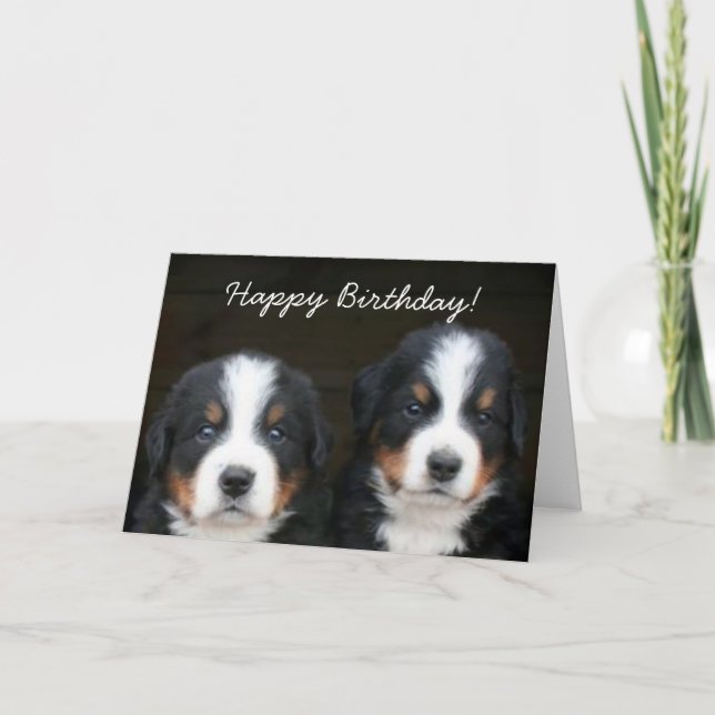 Happy Birthday Bernese pups greeting card (Front)