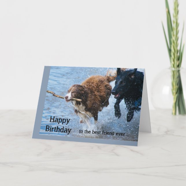 Happy Birthday Best Friend Fun Old & Crazy Dogs Card (Front)