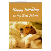 Happy Birthday Best Friend Funny Animals (Front)