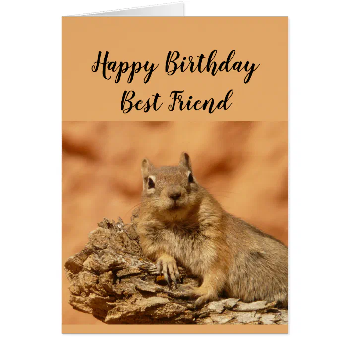 Personalized Happy Birthday Best Friend Funny Squirrel Relax Zazzle Com