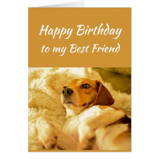 Happy Birthday Best Friend Real Age Humor Fun Dog (Front)