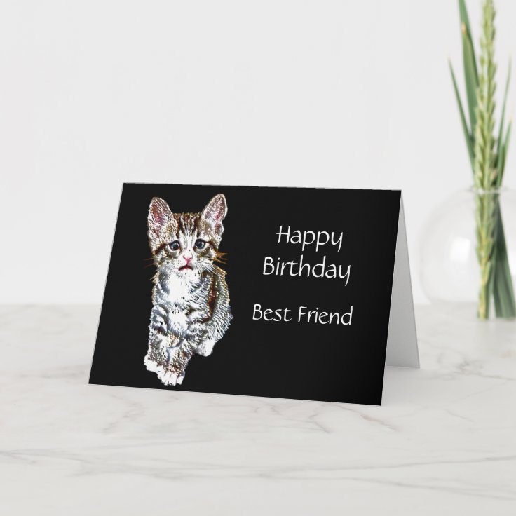 Happy Birthday Best Friend Special Kitty Wishes Card | Zazzle