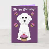 Bichon cupcakes best sale