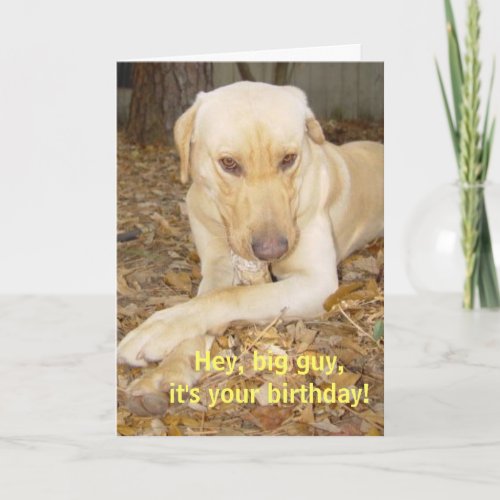 Happy Birthday Big Guy Card