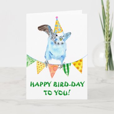 Happy Birthday Bird Parakeet  Card