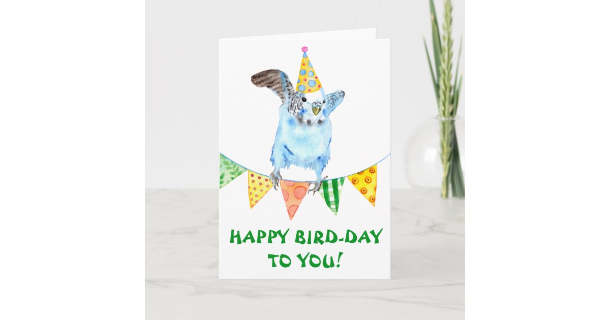 Happy Birthday Bird Parakeet Card Zazzle