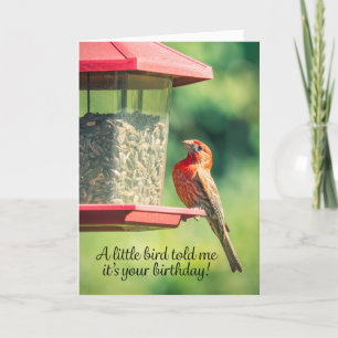 Happy Birthday Bird Poop Humor Holiday Card
