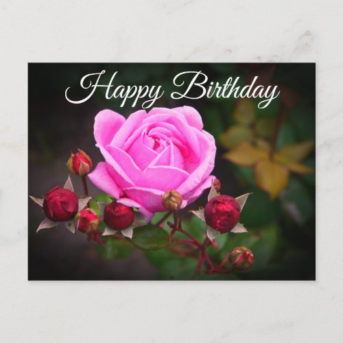 Happy Birthday Bishops Castle Rose 1 Postcard