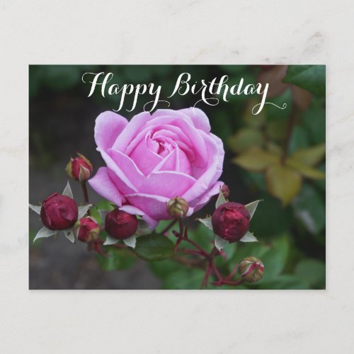 Happy Birthday Bishops Castle Rose 1 Postcard
