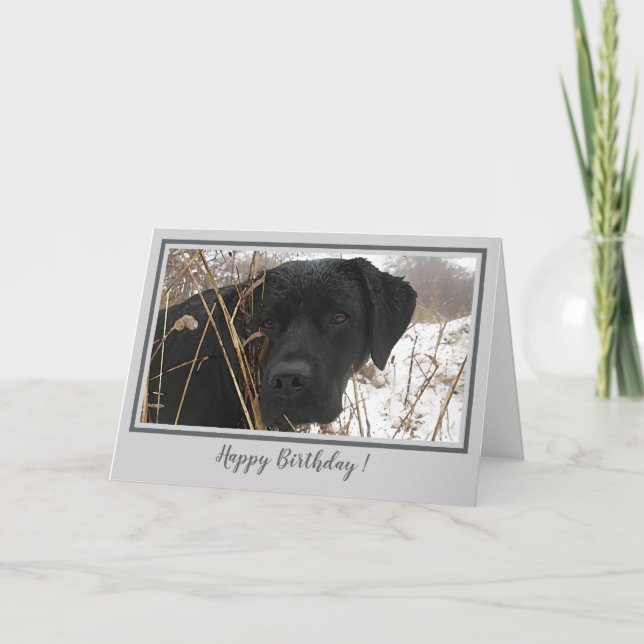 Happy Birthday Black Lab - Gray Duck Hunting Dog Card (Front)