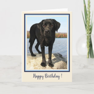 Happy Birthday Black Labrador Beach Puppy Cute Dog Letterpress Thank You Card