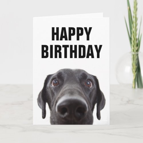 Happy Birthday  Black Labrador Card