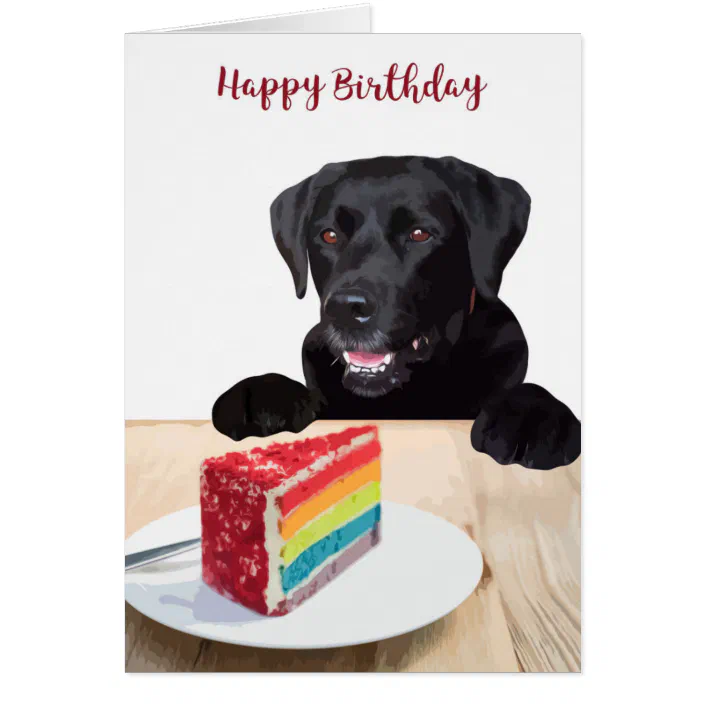 BLACK LABRADOR RETRIEVER DOG QUALITY GLOSSY BIRTHDAY CARD 8"x6" FREE POST 