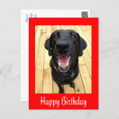 Happy Birthday Black Labrador Retriever Post Card | Zazzle