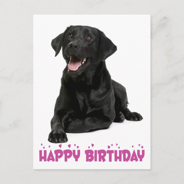 Happy Birthday Black Labrador Retriever Puppy Dog Postcard (Front)