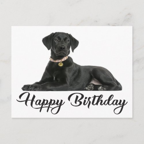 Happy Birthday Black Labrador Retriever Puppy Dog Postcard