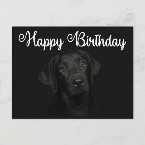 Happy Birthday Black Labrador Retriever Puppy Dog Postcard